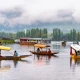 Kashmir