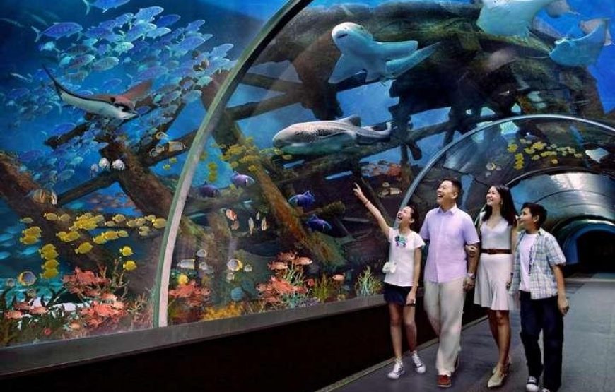 S.E.A-Aquarium-SingapoRediscovers-Vouchers-Traveloka-Xperience-870x555