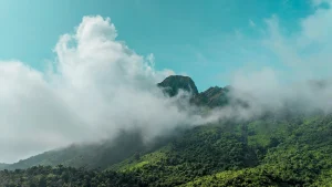 10 Best Hill Stations in Maharashtra for Family, Couples & Friends (2026 Travel Guide)