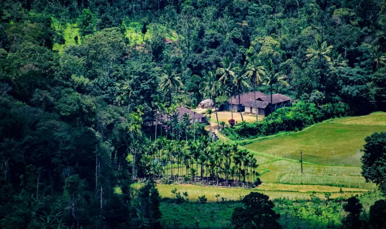 Coorg Travel Guide: Plan Your Coffee Paradise Escape