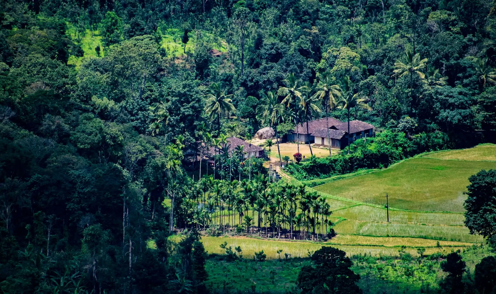 Coorg Coffee Paradise Escape