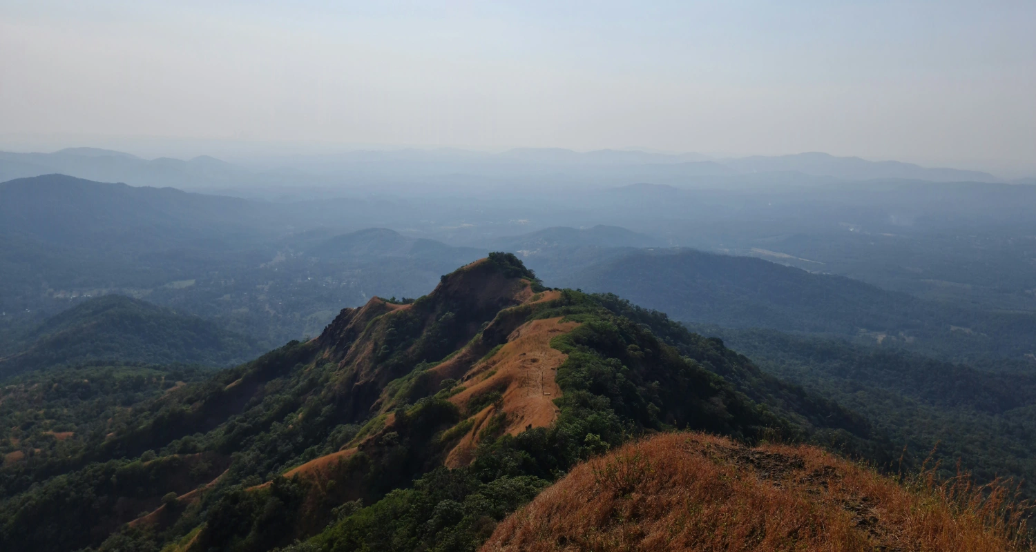 Amboli