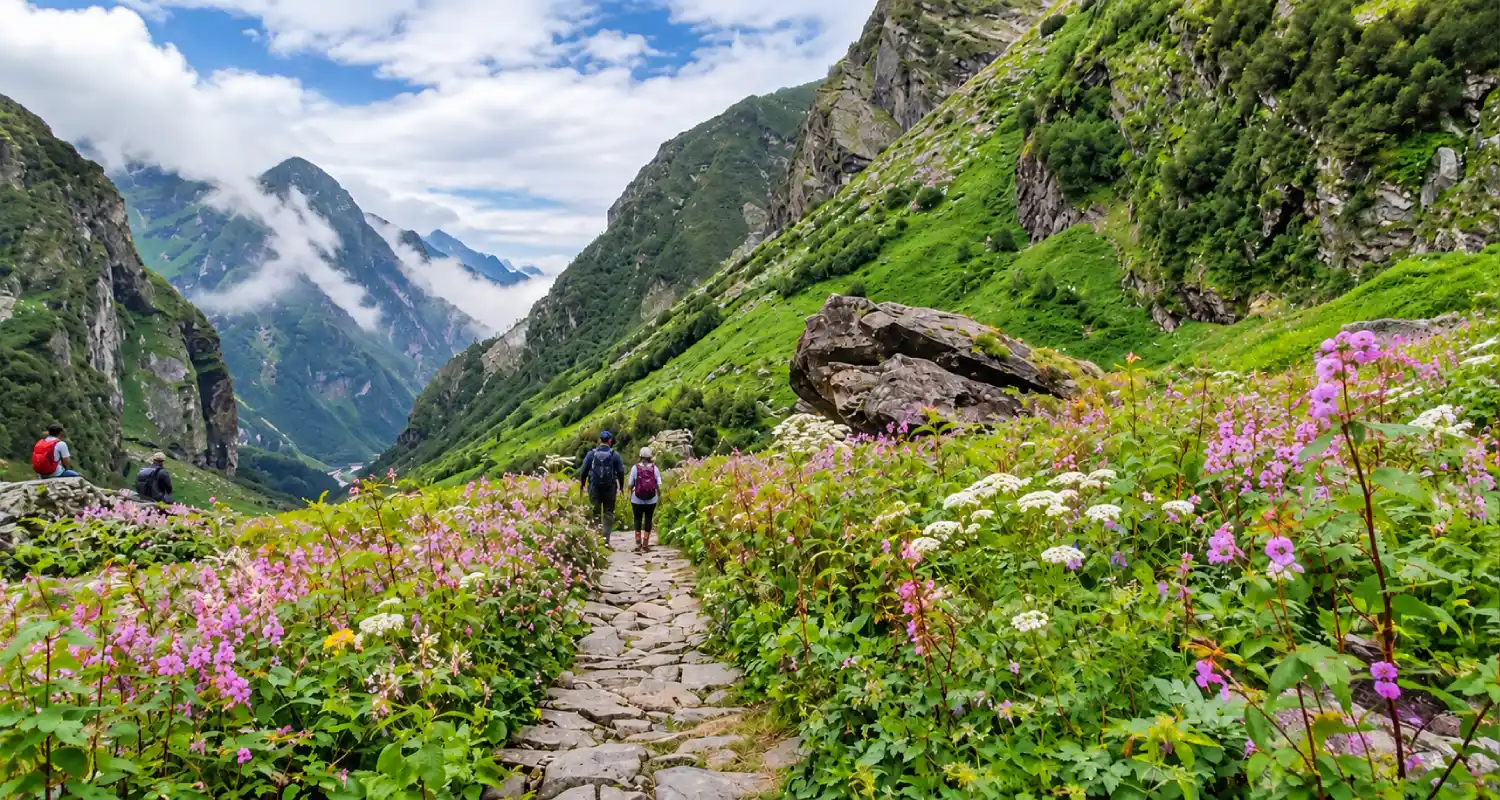 Valley of Flowers Trek, Uttarakhand Colorful alpine flowers along the Valley of Flowers trek in Uttarakhand