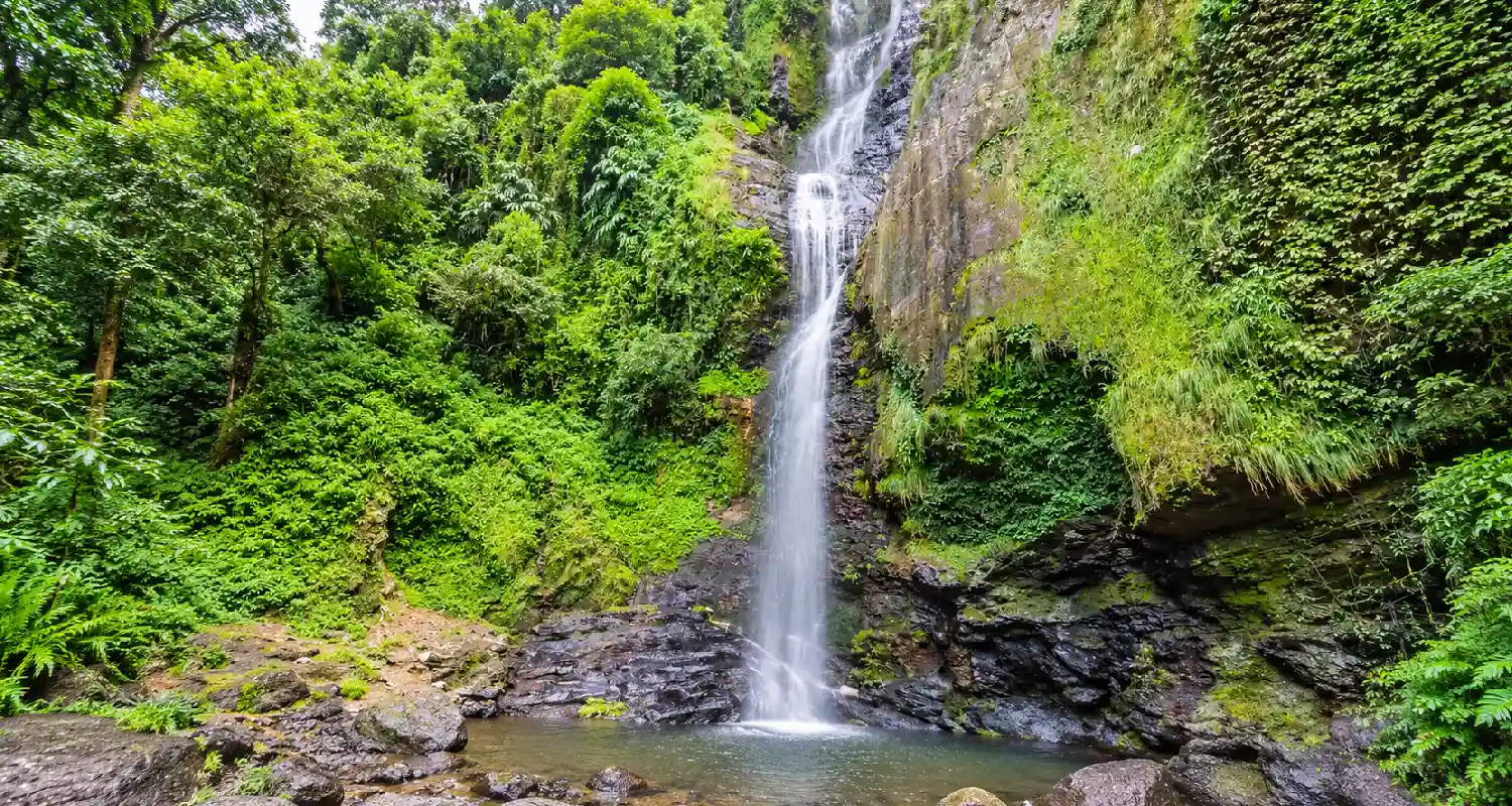 Chadwick Falls in Shimla Chadwick Falls surrounded by green forest in Shimla