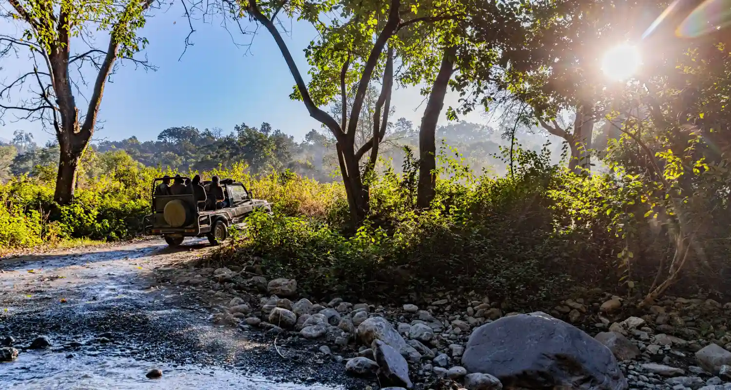 Jim Corbett National Park Tour Packages Forest landscape in Jim Corbett National Park, Uttarakhand