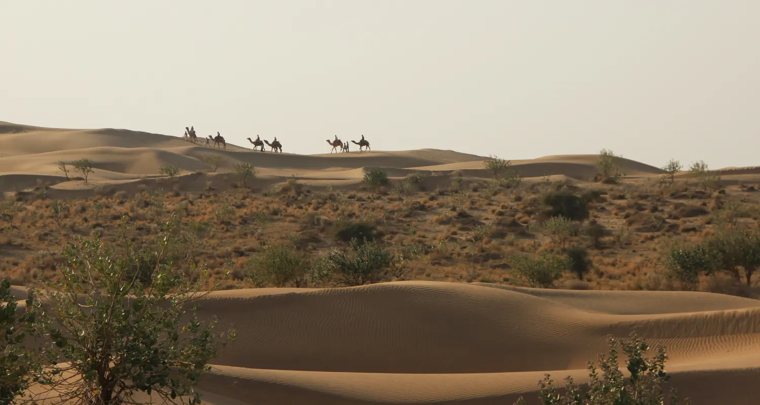 Khuri Sand Dunes desert safari and peaceful camping near Jaisalmer