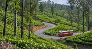 Kochi to Munnar