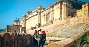 Amber Fort Jaipur