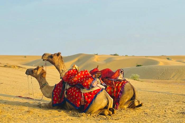 Jaisalmer